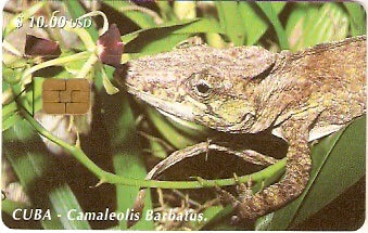 CUB-090 - Camaleão