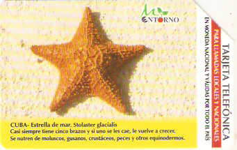 CUB-M-029 - Estrela do Mar