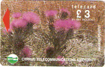 CYP-G-044 - Flores da Floresta 2