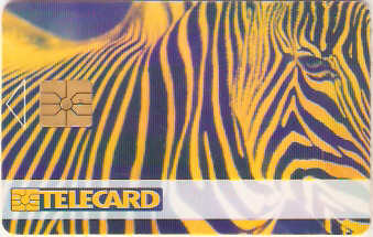 CZR-148 - Zebra