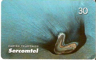 SERC-115M - Meteoro