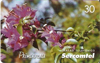 SERC-139M - Primavera