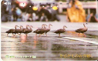 JAP-230-100