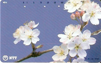 JAP-111-094