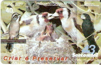 SERC-345 - Aves