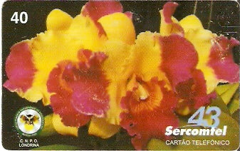SERC-461 -  Orquídeas 2/3