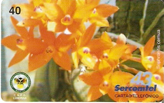SERC-462 -  Orquídeas 3/3