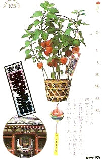 JAP-231-046