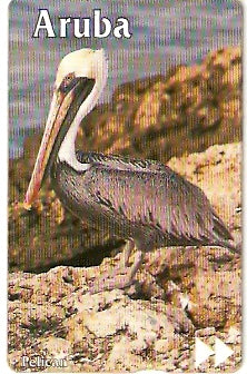 ARU-15d - Pelicano