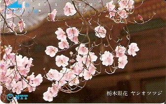 JAP-250-089