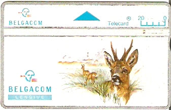 BELO-085(464E) - Animais - Viado
