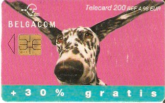 BEL-C-082A - Cachorro