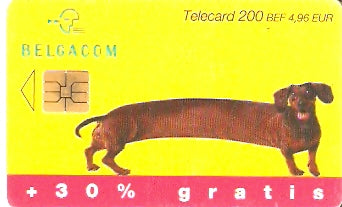 BEL-C-081B - Cachorro