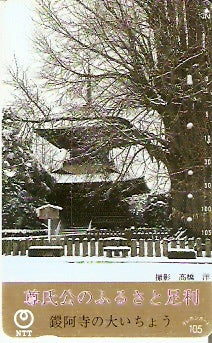 JAP-250-556