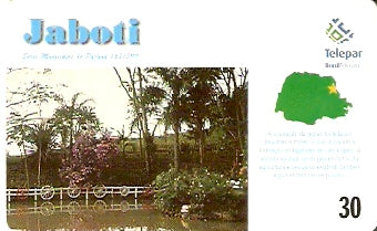MP-167 - Jaboti