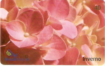 DFC03-036 - Inverno - 3/4