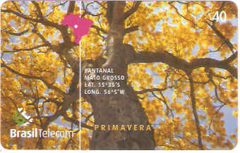 DFC03-058 - Primavera - 2/4