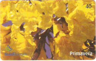 DFC03-059 - Primavera - 3/4