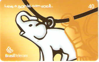 DFC05-044 - Sorte - 2/6