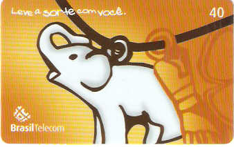 DFC05-047 - Sorte - 2/6