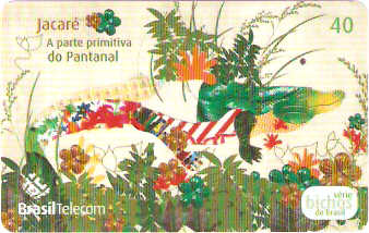 DFC06-034 - Bichos do Brasil - 1/3