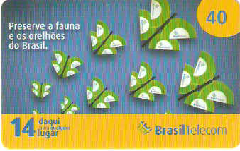 DFC07-29 - Borboletas