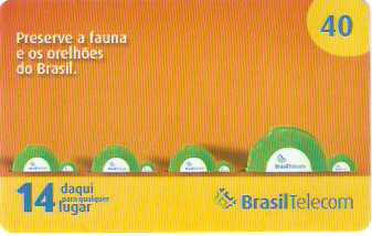 DFC07-30 - Tartarugas