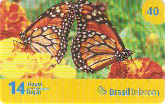 DFC08-03 - Borboletas