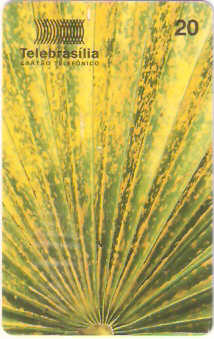 DF-085 - Flores do Cerrado - 05