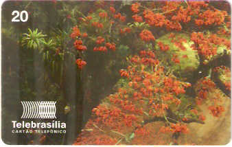 DF-089 - Flores do Cerrado - 09