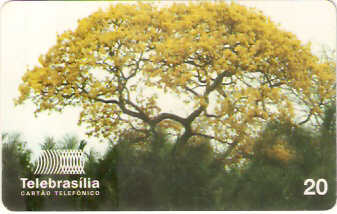 DF-090 - Flores do Cerrado - 10