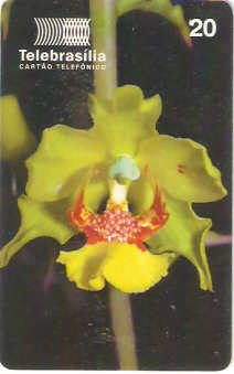 DF-092 - Orquídeas do Cerrado - 2