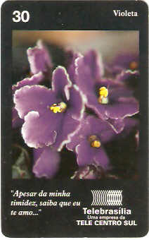 DF-121 - Violeta