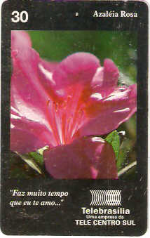 DF-122 - Azaléa Rosa