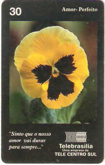 DF-123 - Amor-Perfeito