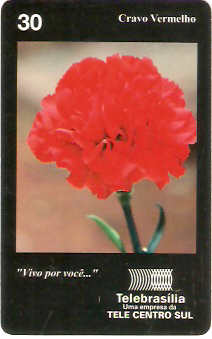 DF-126 - Cravo Vermelho