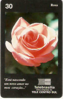 DF-128 - Rosa