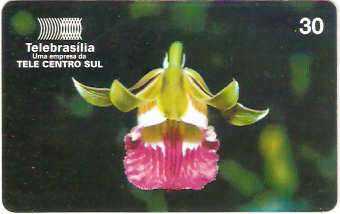 DF-129 - Orquideas do Cerrado - 1