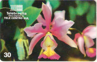 DF-130 - Orquideas do Cerrado - 2