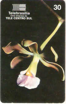 DF-131 - Orquideas do Cerrado - 3