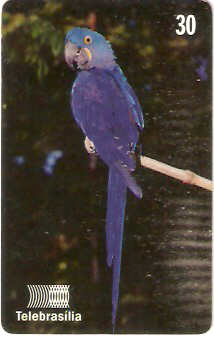 DF-154 - Arara-Azul-Grande