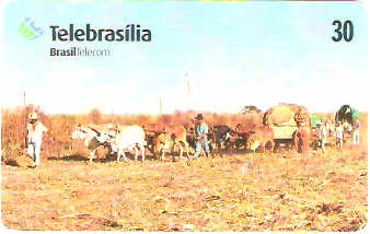 DF-195 - Carro de Boi