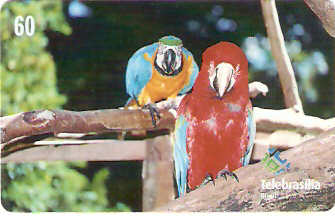 DF-205 - Araras Canindé e Vermelha