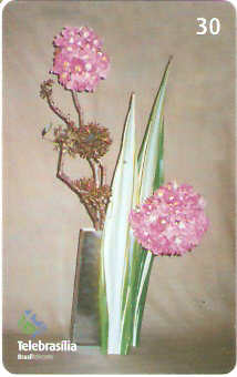 DF-356 - Ikebana - 03/10