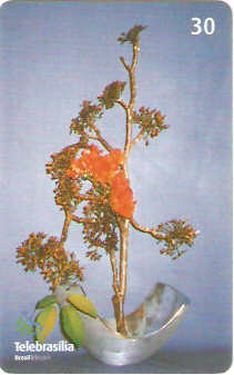 DF-358 - Ikebana - 05/10