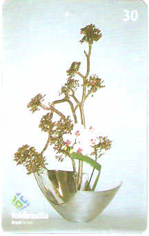 DF-383 - Ikebana - 08/10