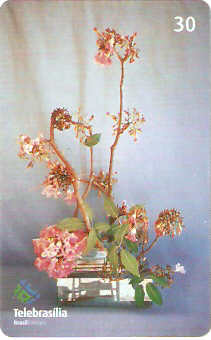 DF-384 - Ikebana - 09/10