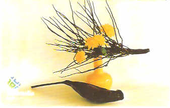 DF-385 - Ikebana - 10/10