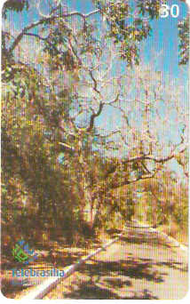 DF-399 - Trilha de Entrada