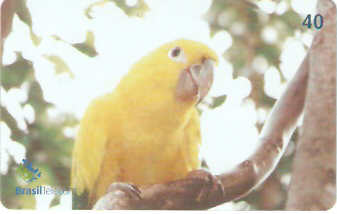 DF-451 - Ararajuba